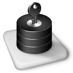 Whack MS Access Icon 256px png